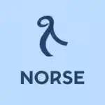 Norse Atlantic Airlines